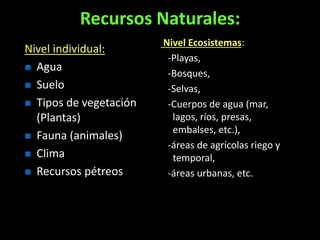 Recursos Naturales: 
Nivel individual: 
 Agua 
 Suelo 
 Tipos de vegetación 
(Plantas) 
 Fauna (animales) 
 Clima 
 Recursos pétreos 
Nivel Ecosistemas: 
-Playas, 
-Bosques, 
-Selvas, 
-Cuerpos de agua (mar, 
lagos, ríos, presas, 
embalses, etc.), 
-áreas de agrícolas riego y 
temporal, 
-áreas urbanas, etc. 
 