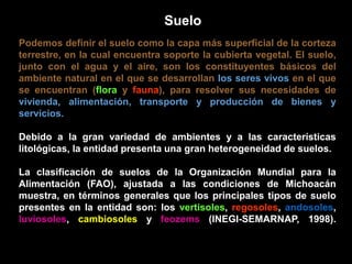 Suelo 
Podemos definir el suelo como la capa más superficial de la corteza 
terrestre, en la cual encuentra soporte la cubierta vegetal. El suelo, 
junto con el agua y el aire, son los constituyentes básicos del 
ambiente natural en el que se desarrollan los seres vivos en el que 
se encuentran (flora y fauna), para resolver sus necesidades de 
vivienda, alimentación, transporte y producción de bienes y 
servicios. 
Debido a la gran variedad de ambientes y a las características 
litológicas, la entidad presenta una gran heterogeneidad de suelos. 
La clasificación de suelos de la Organización Mundial para la 
Alimentación (FAO), ajustada a las condiciones de Michoacán 
muestra, en términos generales que los principales tipos de suelo 
presentes en la entidad son: los vertisoles, regosoles, andosoles, 
luviosoles, cambiosoles y feozems (INEGI-SEMARNAP, 1998). 
 