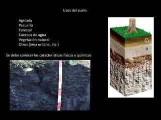 Usos del suelo 
Agrícola 
Pecuario 
Forestal 
Cuerpos de agua 
Vegetación natural 
Otros (área urbana, etc.) 
Se debe conocer las características físicas y químicas 
 