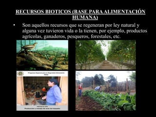 RECURSOS BIOTICOS (BASE PARA ALIMENTACIÓN 
HUMANA) 
• Son aquellos recursos que se regeneran por ley natural y 
alguna vez tuvieron vida o la tienen, por ejemplo, productos 
agrícolas, ganaderos, pesqueros, forestales, etc. 
 