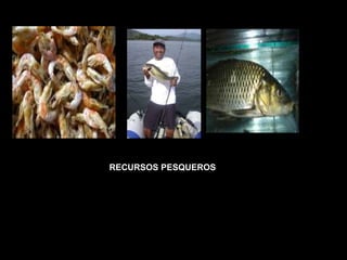RECURSOS PESQUEROS 
 