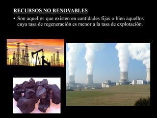 RECURSOS NO RENOVABLES 
• Son aquellos que existen en cantidades fijas o bien aquellos 
cuya tasa de regeneración es menor a la tasa de explotación. 
 
