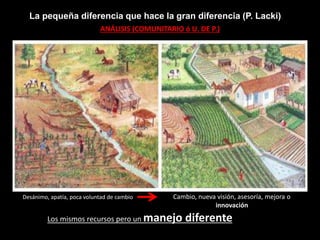 La pequeña diferencia que hace la gran diferencia (P. Lacki). 
ANÁLISIS (COMUNITARIO ó U. DE P.) 
Desánimo, apatía, poca voluntad de cambio Cambio, nueva visión, asesoría, mejora o 
innovación 
Los mismos recursos pero un manejo diferente 
 