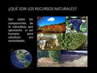 ¿QUÉ SON LOS RECURSOS NATURALES? 
Son todos los 
componentes de 
la naturaleza que 
aprovecha el ser 
humano para 
satisfacer sus 
necesidades. 
 