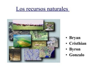 Los recursos naturales  ,[object Object],[object Object],[object Object],[object Object]