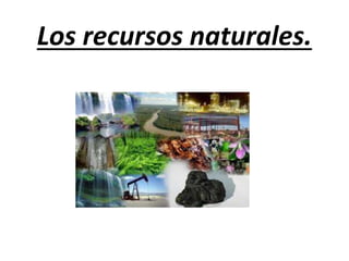 Los recursos naturales.
 
