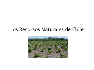 Los Recursos Naturales de Chile
 