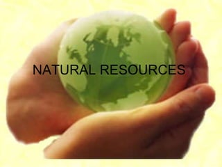 Los recursos naturalesen ingles
