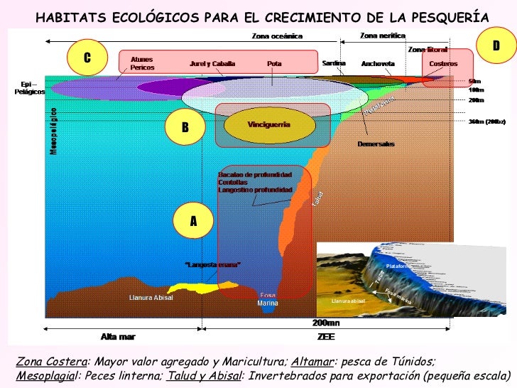 LOS RECURSOS PESQUEROS Y SU ORIENTACIÓN EN EL PERÚ LOS RECURSOS PESQUEROS Y SU ORIENTACIÓN EN EL PERÚ