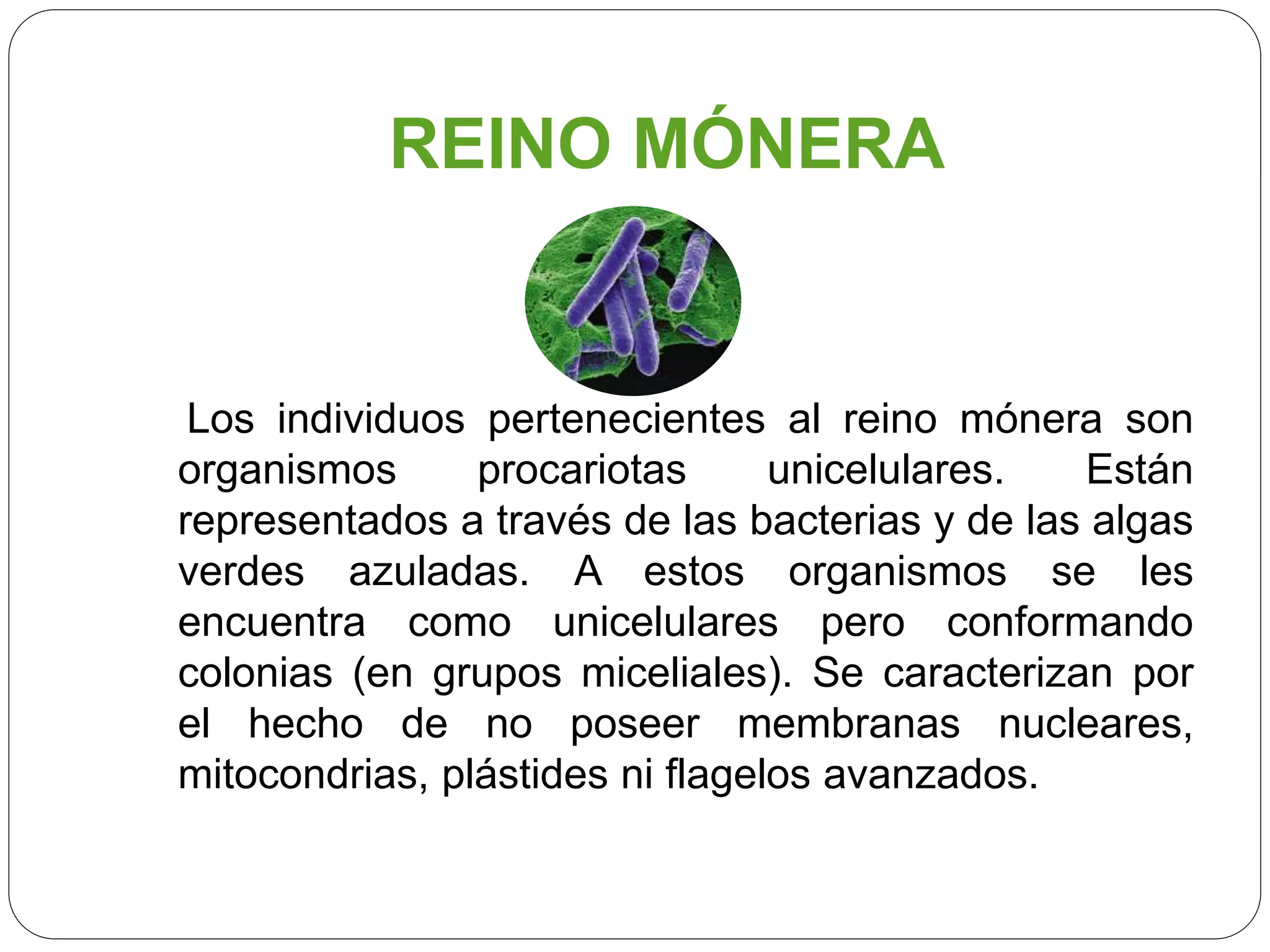 Los reinos de la naturaleza | PPTX