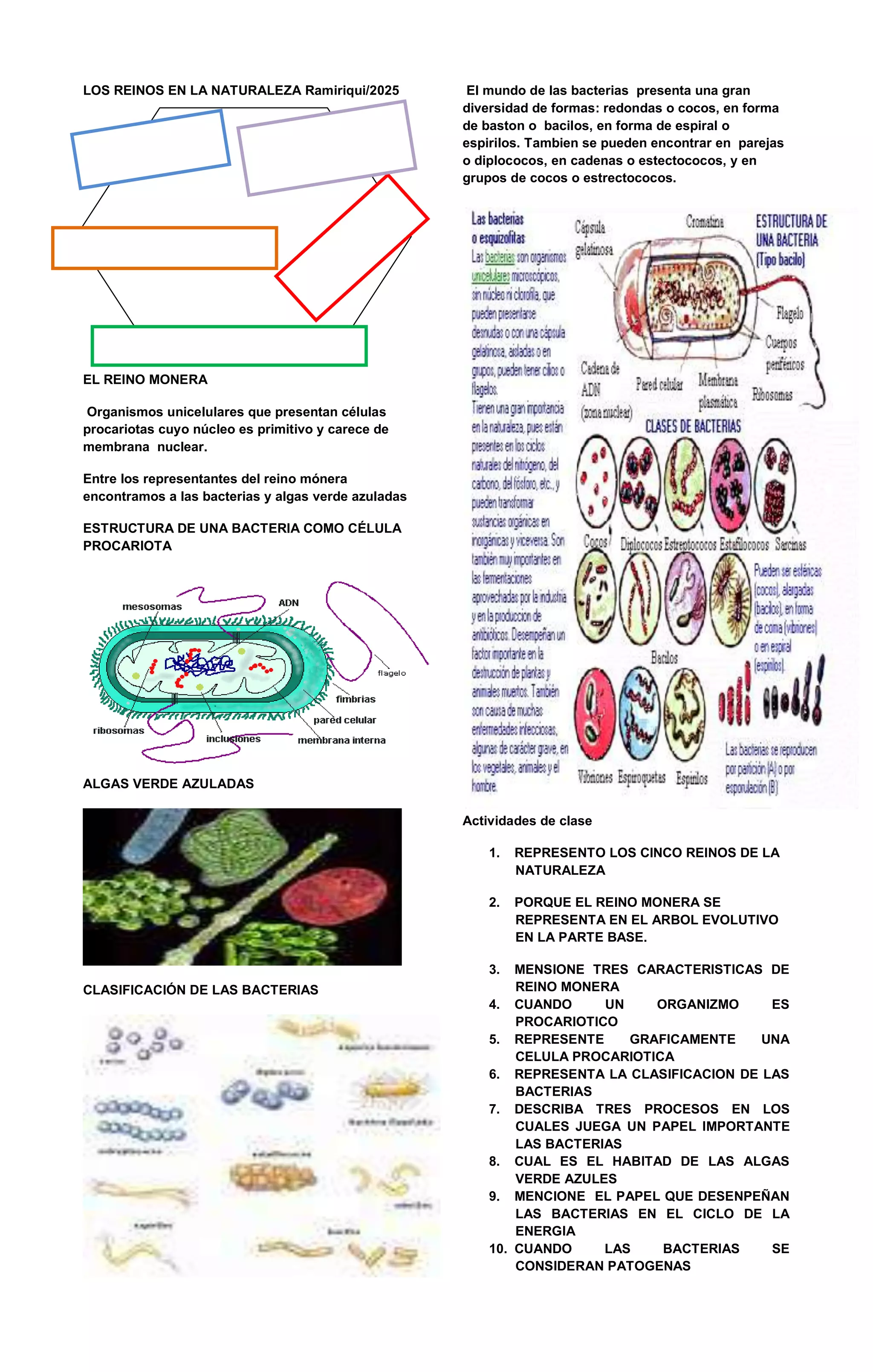 Los reinos en la naturaleza | PDF
