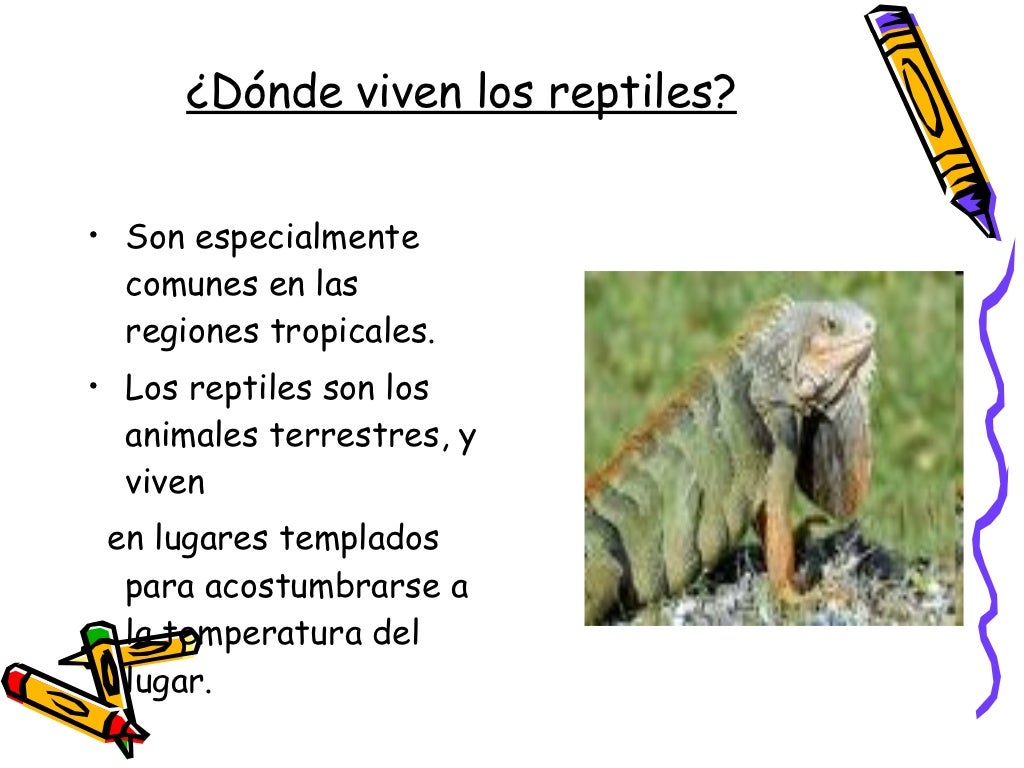 Los Reptiles Los Reptiles
