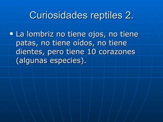 Curiosidades reptiles 2. La lombriz no tiene ojos, no tiene patas, no tiene oídos, no tiene dientes, pero tiene 10 corazones (algunas especies).  
