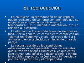Su reproducción     En cautiverio, la reproducción de los reptiles puede realizarse únicamente con animales que se encuentren en buenas condiciones de temperatura, luz, humedad, alimentación, etc. en relación a la especie.     La elección de los reproductores no siempre es fácil.  Por lo general es conveniente contar con un “plantel reproductivo”, o sea, un grupo de 6 a 8 animales bien establecidos, en lugar de una sola pareja.     La reconstrucción de las condiciones estacionales es indispensable para los animales que sufren variaciones climáticas, ya que éstas constituyen una señal que desencadena o inhibe la actividad reproductiva (está muy influenciada por las temperaturas y el fotoperíodo).    