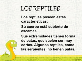 LOS REPTILES
Los reptiles poseen estas
características:
Su cuerpo está cubierto de
escamas.
Sus extremidades tienen forma
de patas, que suelen ser muy
cortas. Algunos reptiles, como
las serpientes, no tienen patas.
 