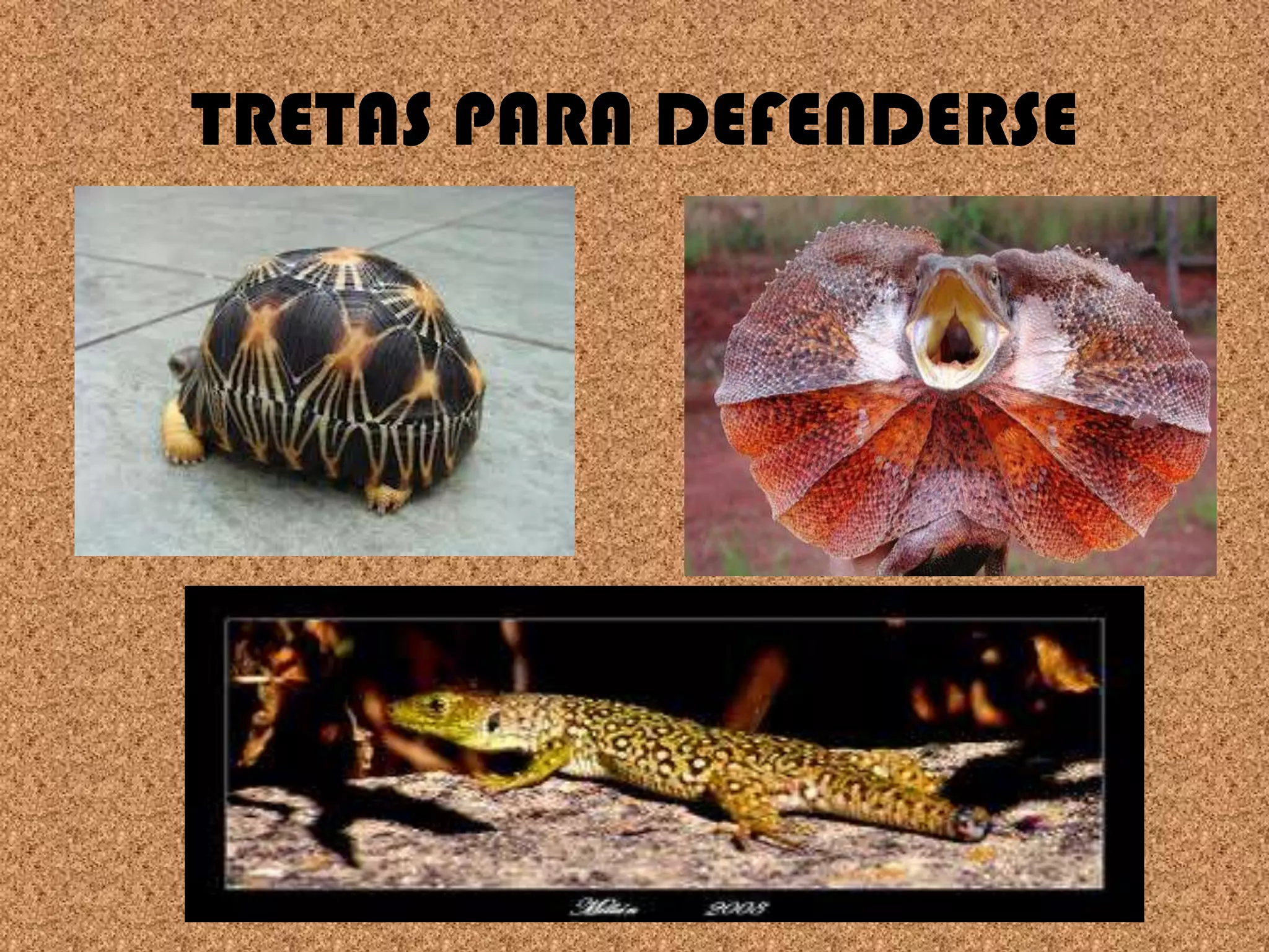 TRETAS PARA DEFENDERSE

 