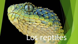 Los reptiles
 