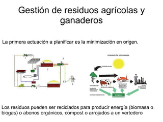 Gestión de residuos agrícolas y ganaderos La primera actuación a planificar es la minimización en origen. Los residuos pueden ser reciclados para producir energía (biomasa o biogas) o abonos orgánicos, compost o arrojados a un vertedero 