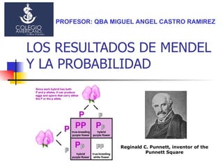 LOS RESULTADOS DE MENDEL Y LA PROBABILIDAD Reginald C. Punnett, inventor of the Punnett Square PROFESOR: QBA MIGUEL ANGEL CASTRO RAMIREZ 