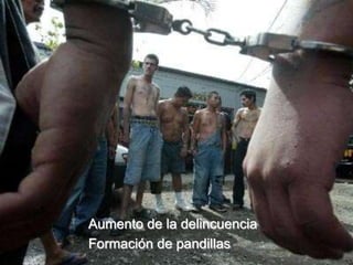 Aumento de la delincuencia
Formación de pandillas
 