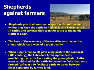 Shepherds against farmers  Shepherds practiced seasonal migration: In Autumn and winter they took the cattle to Andalucía and Extremadura. In spring and summer they took the cattle to the humid North of Spain. The base of the economy of these cattle was the merina sheep which has a wool of a great quality. When King Fernando III gave a big push to the conquest (18 th  century), the Labradors broke up the fields, prohibiting the cattle from eating the green plants.  Paths were established for the cattle between the fields that were farmed (cañadas)  to facilitate cattle to travel between fields separated by farmed land.  