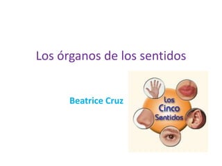 Los órganos de los sentidos


      Beatrice Cruz
 