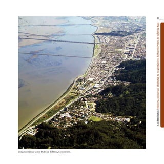Vista panorámica sector Pedro de Valdivia, Concepción.
                                                                                                                                                             11




                                                         Los Ribereños / Historia, memoria e identidad de los pobladores del barrio Pedro de Valdivia Bajo
 