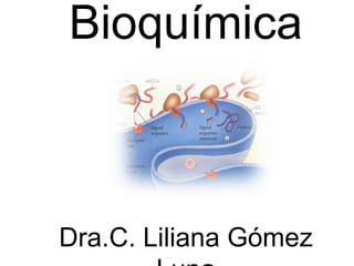 Dra.C. Liliana Gómez
Bioquímica
 