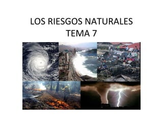 LOS RIESGOS NATURALES
TEMA 7
 