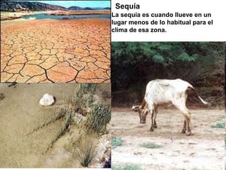 Sequía
La sequía es cuando llueve en un
lugar menos de lo habitual para el
clima de esa zona.
 