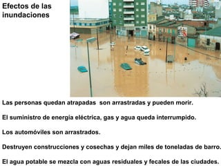 Efectos de las
inundaciones




Las personas quedan atrapadas son arrastradas y pueden morir.

El suministro de energía eléctrica, gas y agua queda interrumpido.

Los automóviles son arrastrados.

Destruyen construcciones y cosechas y dejan miles de toneladas de barro.

El agua potable se mezcla con aguas residuales y fecales de las ciudades.
 