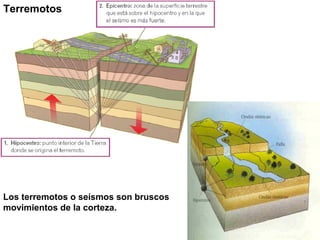 Terremotos




Los terremotos o seísmos son bruscos
movimientos de la corteza.
 