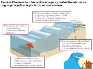 Tsunami El maremoto o tsunami es una gran y destructiva ola que se
origina principalmente por terremotos en alta mar.
 