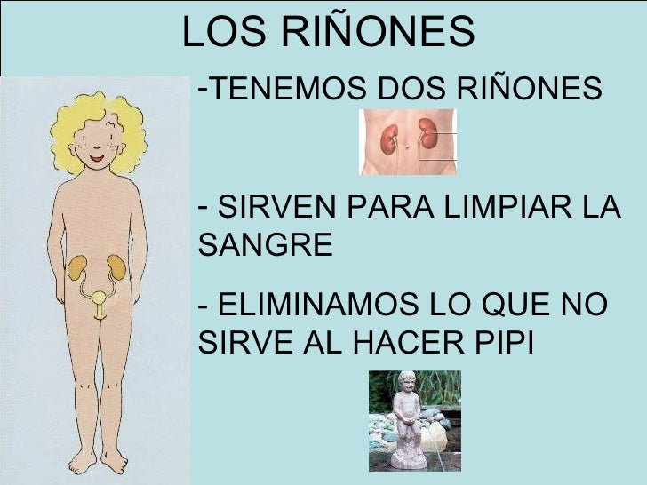 Duele y ha hinchado el cuello de la parte derecha detrás