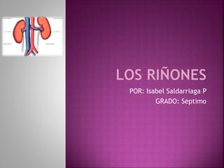 POR: Isabel Saldarriaga P
GRADO: Septimo