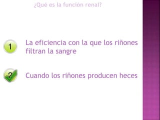 ¿Qué es la función renal?
La eficiencia con la que los riñones
filtran la sangre
Cuando los riñones producen heces