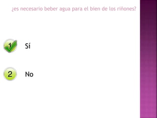 Sí
No
¿es necesario beber agua para el bien de los riñones?