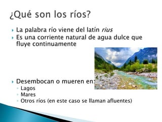 Terminos Del Rio Los rios | PPTX