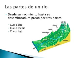 Los rios | PPTX