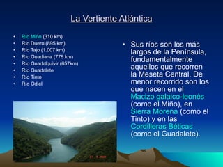 La Vertiente Atlántica Río Miño  (310 km)  Río Duero (895 km)  Río Tajo (1.007 km)  Río Guadiana (778 km)  Río Guadalquivir (657km)  Río Guadalete  Río Tinto  Río Odiel  Sus ríos son los más largos de la Península, fundamentalmente aquellos que recorren la Meseta Central. De menor recorrido son los que nacen en el  Macizo galaico-leonés  (como el Miño), en  Sierra Morena  (como el Tinto) y en las  Cordilleras Béticas  (como el Guadalete).  