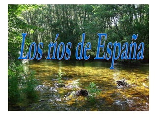 Los ríos de España 