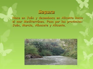SeguraSegura
Nace en Jaén y desemboca en Alicante haciaNace en Jaén y desemboca en Alicante hacia
el mar Mediterráneo. Pasa por las provincias:el mar Mediterráneo. Pasa por las provincias:
Jaén, Murcia, Albacete y Alicante.Jaén, Murcia, Albacete y Alicante.
 