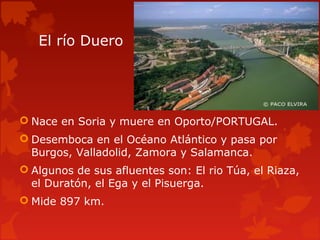 El río Duero
 Nace en Soria y muere en Oporto/PORTUGAL.
 Desemboca en el Océano Atlántico y pasa por
Burgos, Valladolid, Zamora y Salamanca.
 Algunos de sus afluentes son: El rio Túa, el Riaza,
el Duratón, el Ega y el Pisuerga.
 Mide 897 km.
 