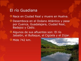 El río Guadiana
 Nace en Ciudad Real y muere en Huelva.
 Desemboca en el Océano Atlántico y pasa
por Cuenca, Guadalajara, Ciudad Real,
Badajoz y Cádiz.
 Algunos de sus afluentes son: El río
Jabalón, el Bullaque, el Cigüela y el Zújar.
 Mide 742 km.
 
