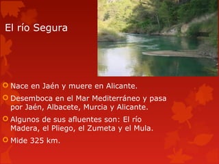 El río Segura
 Nace en Jaén y muere en Alicante.
 Desemboca en el Mar Mediterráneo y pasa
por Jaén, Albacete, Murcia y Alicante.
 Algunos de sus afluentes son: El río
Madera, el Pliego, el Zumeta y el Mula.
 Mide 325 km.
 