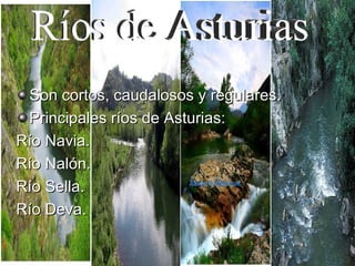 Son cortos, caudalosos y regulares. Principales ríos de Asturias: Río Navia. Río Nalón. Río Sella. Río Deva. Ríos de Asturias 
