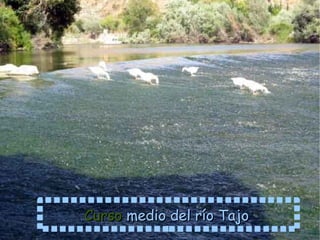 Cuando esta parte de un río se encuentra en un clima seco pueden denominarse barrancos, ramblas o torrentes 