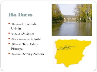 Río Duero
Nacimiento : Picos de
Urbión
Vertiente:Atlántica
Desembo cadura: Oporto
Afluentes:Tera, Esla y
Pisuerga
Ciudades: Soria y Zamora