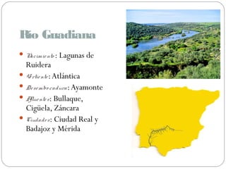 Río Guadiana
Nacimiento : Lagunas de
Ruidera
Vertiente:Atlántica
Desembo cadura:Ayamonte
Afluentes: Bullaque,
Cigüela, Záncara
Ciudades: Ciudad Real y
Badajoz y Mérida