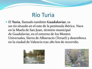 Río Turia
 El Turia, llamado también Guadalaviar, es
 un río situado en el este de la península ibérica. Nace
 en la Muela de San Juan, término municipal
 de Guadalaviar, en el entorno de los Montes
 Universales, Sierra de Albarracín (Teruel) y desemboca
 en la ciudad de Valencia tras 280 km de recorrido.
 